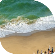 Beach Walking